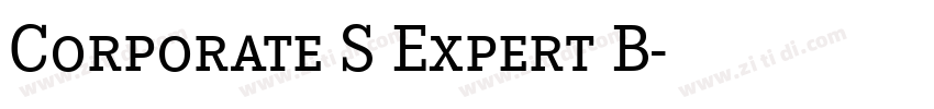 Corporate S Expert B字体转换